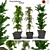 3D Greenery Collection: Indoor Plants 3D model small image 3