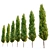 Mediterranean Cypress Tree: Vray Material, 15m Height 3D model small image 2