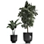 Tropical Plant Collection: Exotic, Indoor & Outdoor, in Vig Planter L Set 2pcs 3D model small image 3