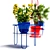 Green Oasis: Set of 10 Indoor Plants 3D model small image 3