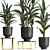 Exotic Plant Collection: Strelitzia & Alpinia Zero 3D model small image 3