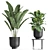 Tropical Plant Collection in Stylish Black Pots 3D model small image 2