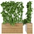 Premium Plant Collection Vol. 102 3D model small image 1