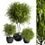 Outdoor Plant 11: Realistic 3D Model 3D model small image 1