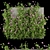 Premium Plant Collection Vol. 105 3D model small image 1