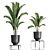 Tropical Plant Collection: Banana Palm, Ravenala, Strelitzia 3D model small image 3