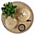Succulent Decor Set with Wooden Stands, Candle, and Nuts 3D model small image 4