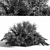 Versatile Bush_01: 2015 Preview, Vray/Corona, Centimeters 3D model small image 4