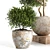 Concrete Pot Outdoor Plant 3D model small image 3