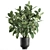 Exotic Plant Collection in Vig Planter 3D model small image 1