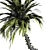 Tropical Paradise Palm Tree 3D model small image 3