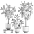 Tropical Plant Collection in Stylish Vig Planters 3D model small image 5