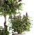 Lush Lavender Tree Trio: Outdoor Plant Set 3D model small image 4