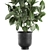 Tropical Plant Collection: Exotic Ficus Elastica in Vig Planter 3D model small image 2