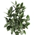Tropical Plant Collection: Exotic Ficus Elastica in Vig Planter 3D model small image 3