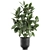 Tropical Plant Collection: Exotic Ficus Elastica in Vig Planter 3D model small image 4