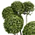 Elegant Decorative Tree: 5m Height 3D model small image 3