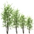 Amelanchier: Stunning Polygon Trees 3D model small image 2
