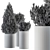 Pine Indoor Plant Set: Bush & Tree 3D model small image 4