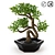 FEJKA FAKE: Artificial Bonsai for Easy Home or Outdoor Decoration 3D model small image 1