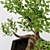 FEJKA FAKE: Artificial Bonsai for Easy Home or Outdoor Decoration 3D model small image 4