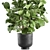 Tropical Plant Collection: Exotic Ficus Lyrata in Vig Planter 3D model small image 2