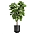 Exotic Plant Collection in Vig Planter 3D model small image 2