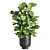 Exotic Plant Collection in Vig Planter 3D model small image 3