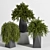 Multi-Part Indoor Plant Set 3D model small image 1