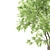 Elevated Elder Tree: Polys 555,232 3D model small image 3