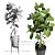 27" Indoor Plant: 3Dmax Vray & Corona Export 3D model small image 2