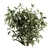Blooming Bliss - Floral Bush Set 3D model small image 4