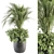 Exotic Palm: Perfect Indoor Plant 3D model small image 5
