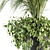 Exotic Palm: Perfect Indoor Plant 3D model small image 1