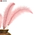 Elegant Feather Décor with Ornate Pot 3D model small image 3