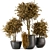 Rustic Outdoor Plant Bush & Tree Set 3D model small image 1