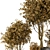 Rustic Outdoor Plant Bush & Tree Set 3D model small image 3