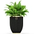 My Design Planters: Plants Collection 454 3D model small image 3