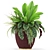 My Design Planters: Plants Collection 454 3D model small image 4