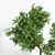 Versatile Outdoor Plant: 2015 Edition 3D model small image 3