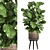Tropical Plant Collection in Rattan Basket 3D model small image 1