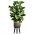 Tropical Plant Collection in Rattan Basket 3D model small image 4