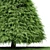 Cone Green Buxus Trees: 3D Models 3D model small image 3