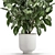 Exotic Plant Collection: Ficus Elastica & Rubbery in White Pots 3D model small image 3