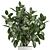 Exotic Plant Collection: Ficus Elastica & Rubbery in White Pots 3D model small image 4