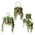 Gilded Hanging Ampel Plants 3D model small image 3
