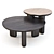Liu Jo Caillou: Round Wood Coffee Tables 3D model small image 2
