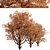 Cinnamon Bark Acer Griseum Trees (Set of 2) 3D model small image 5