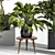 Ultimate Indoor Plant Set 3D model small image 3