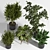 Ultimate Indoor Plant Set 3D model small image 4